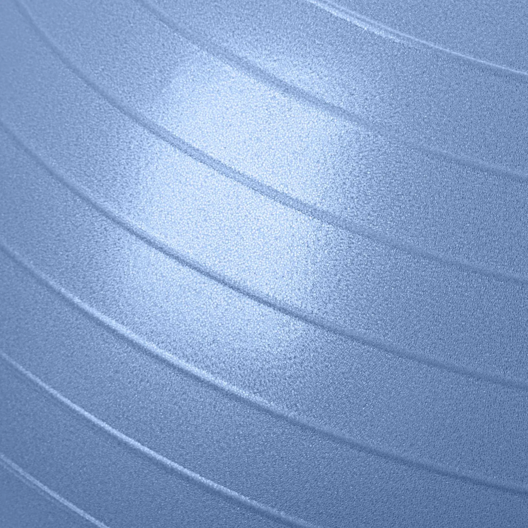 65cm Anti-Burst Stability Ball W/3LB Sand Weight