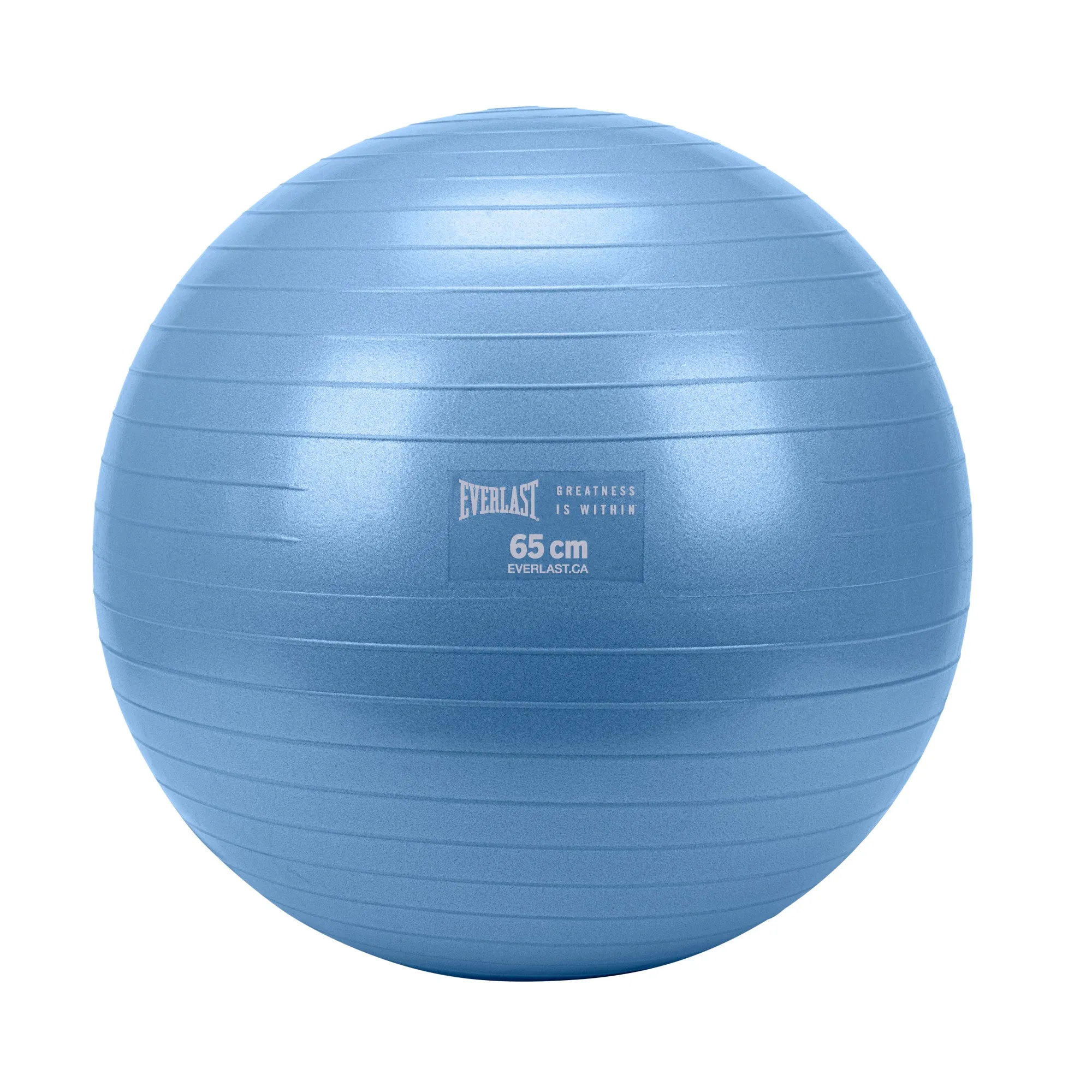 65cm Anti-Burst Stability Ball W/3LB Sand Weight