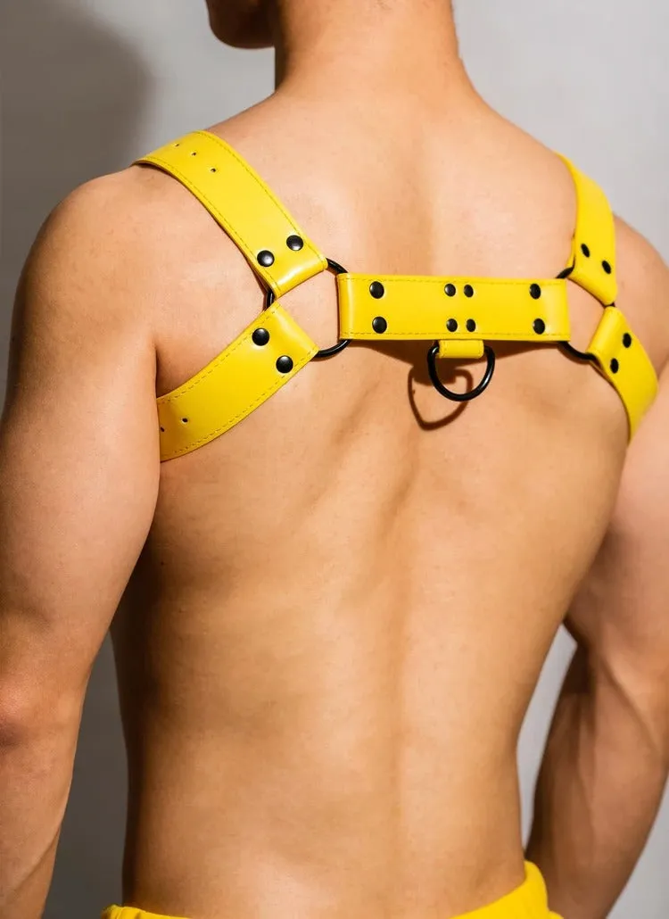 BB Chest Harness