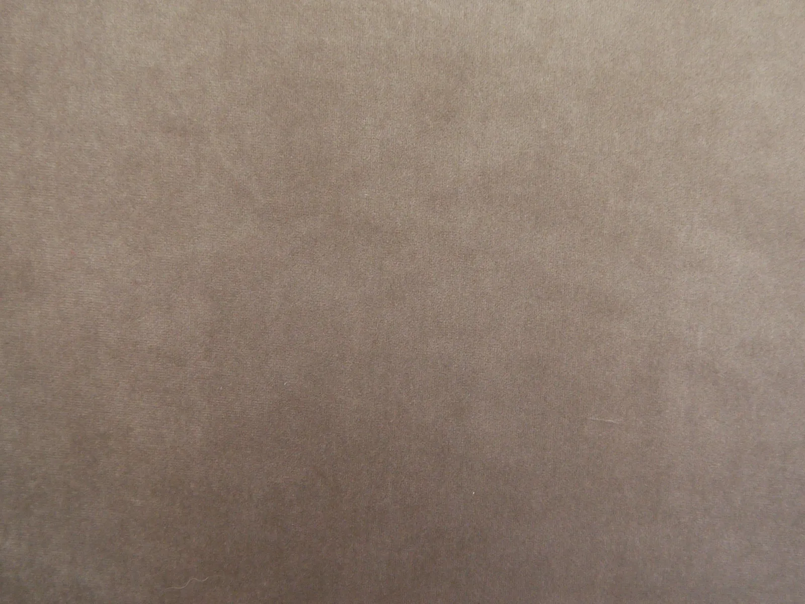 Cambio - CAM1735 Cedar