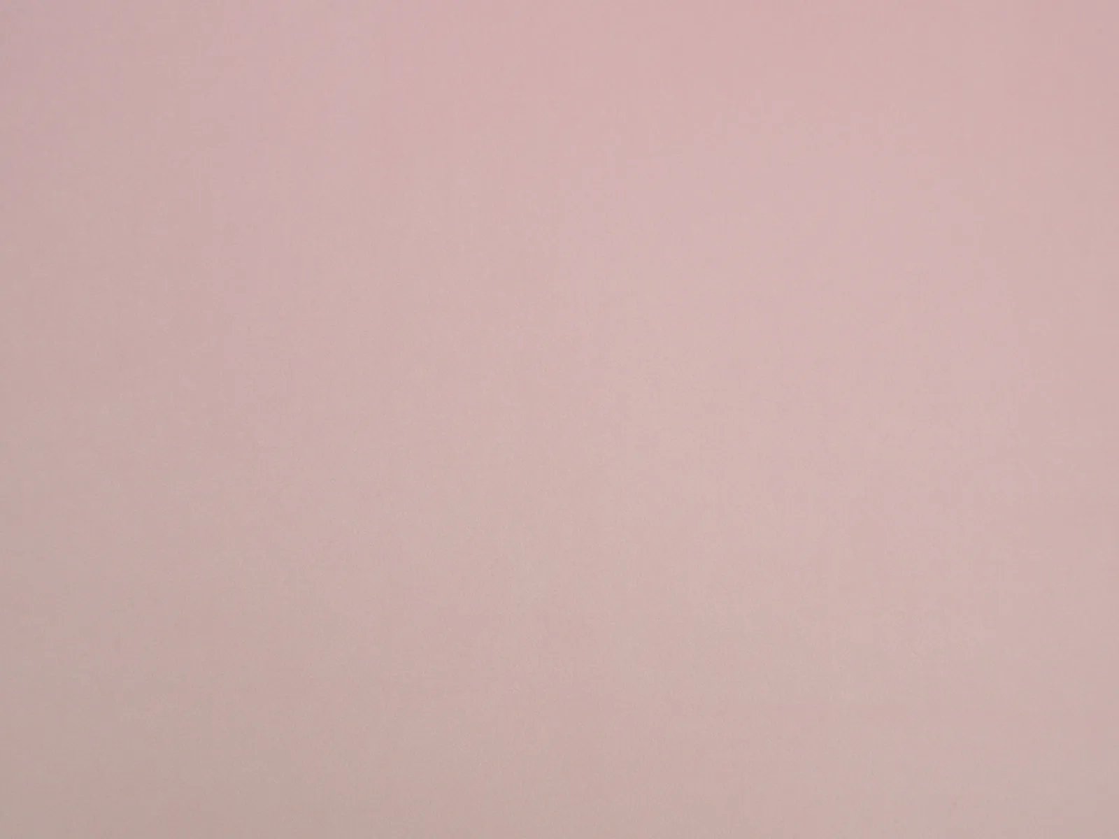 Cambio - CAM1741 Blush