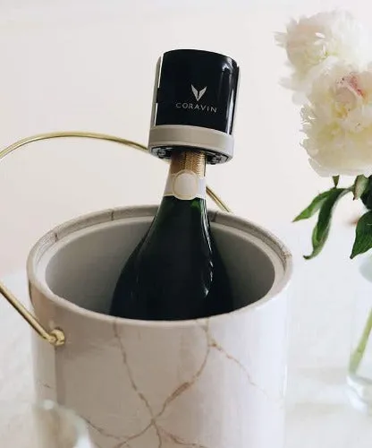 Coravin™ Sparkling Wine Preservation System