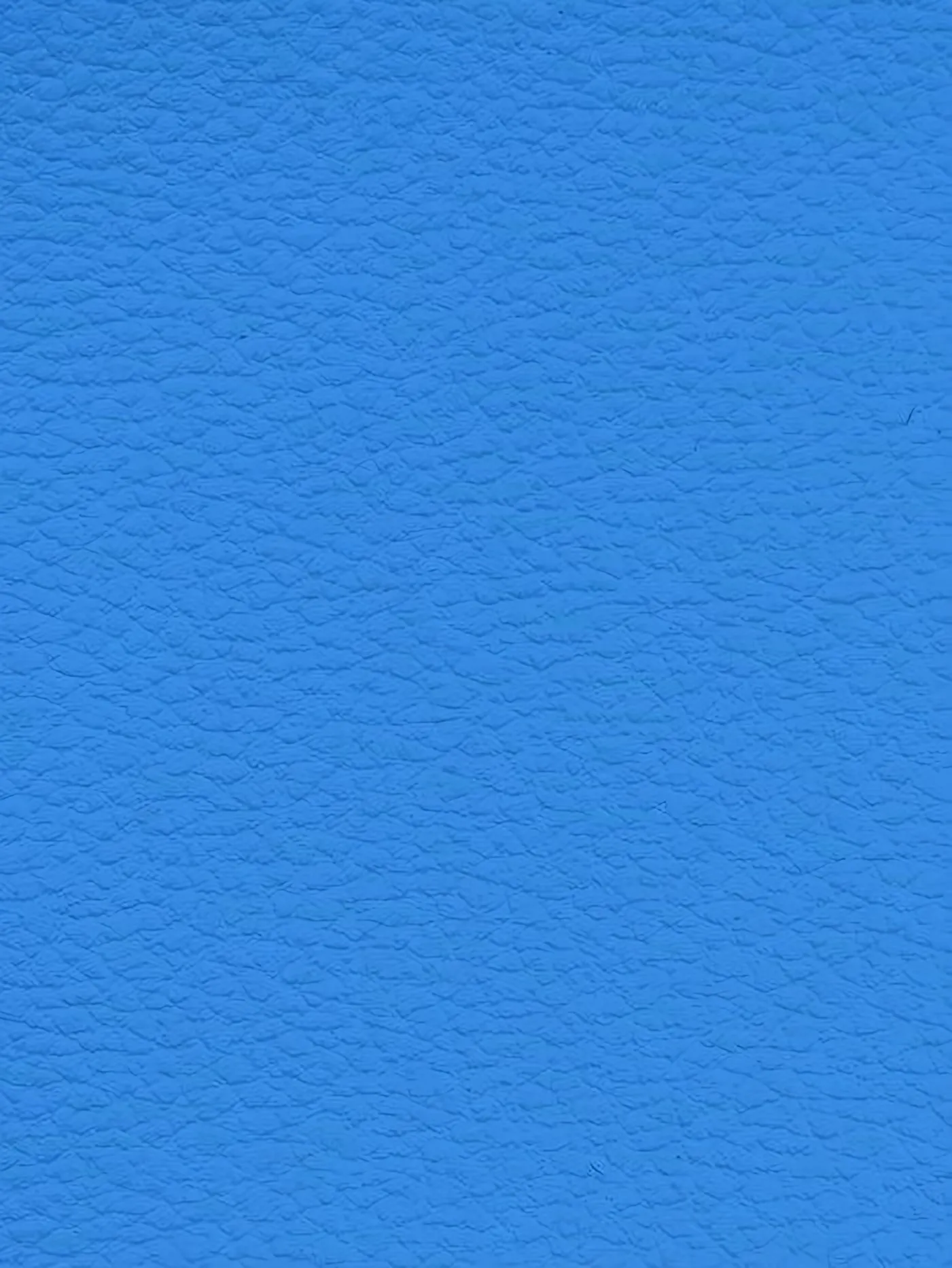 DODGER BLUE Premium Auto & Contract Vinyl - Palma Vinyl