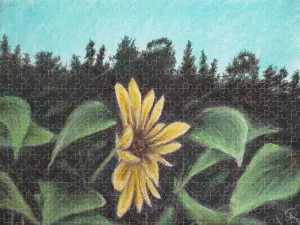 Flower Hour - Puzzle