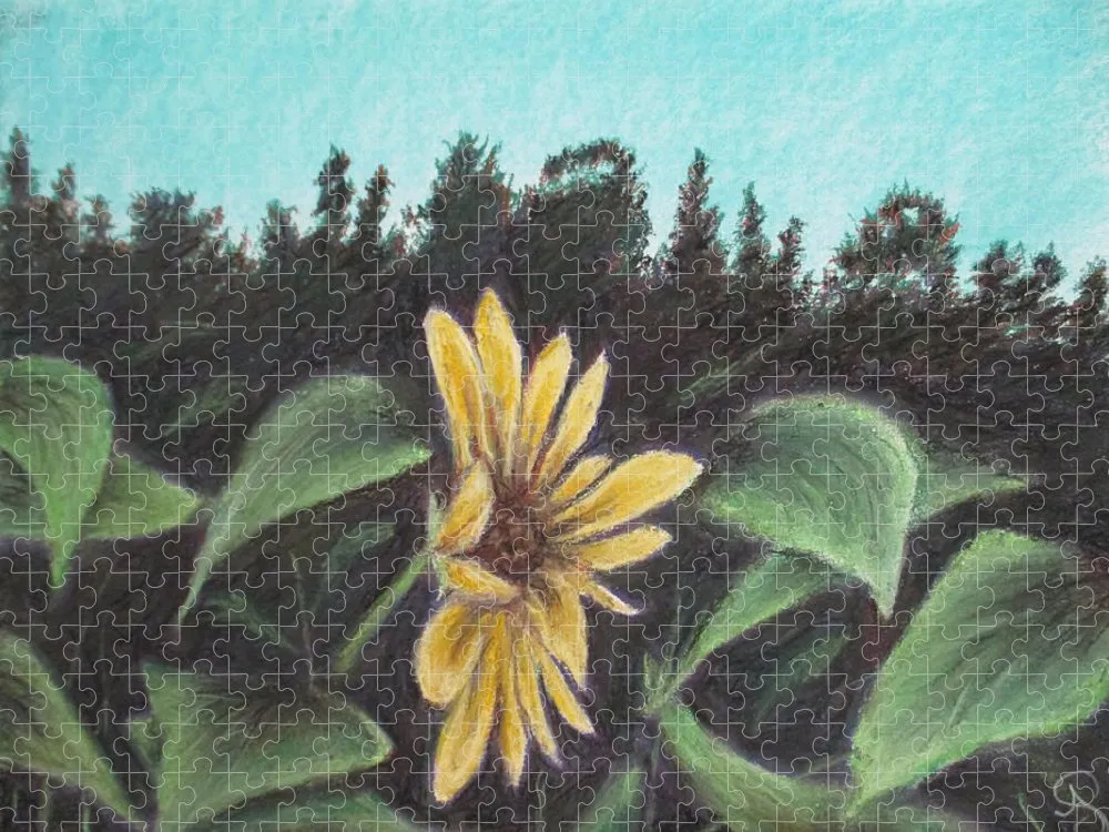 Flower Hour - Puzzle