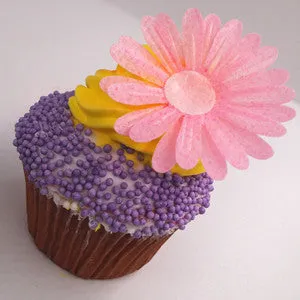 Lilac Dressing - Soya Free Clean Label Vegan Sprinkles Cake Decoration