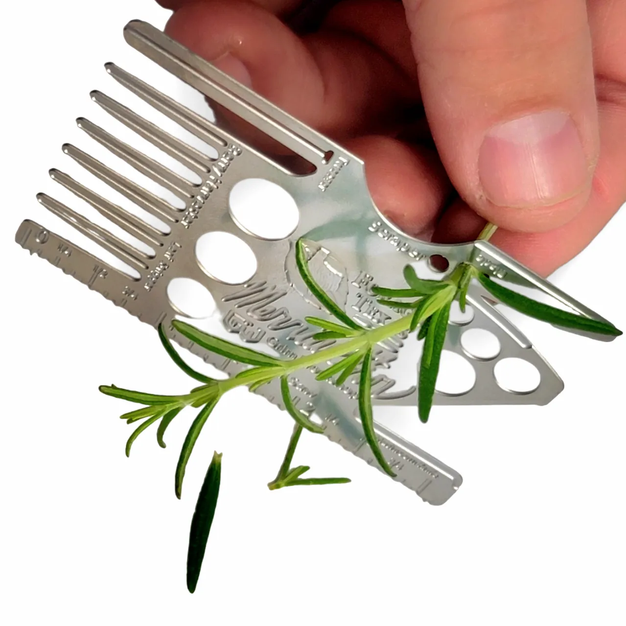 Mark Merriweather Foraging Card : Credit Card Size Wild Edibles Foraging Kit