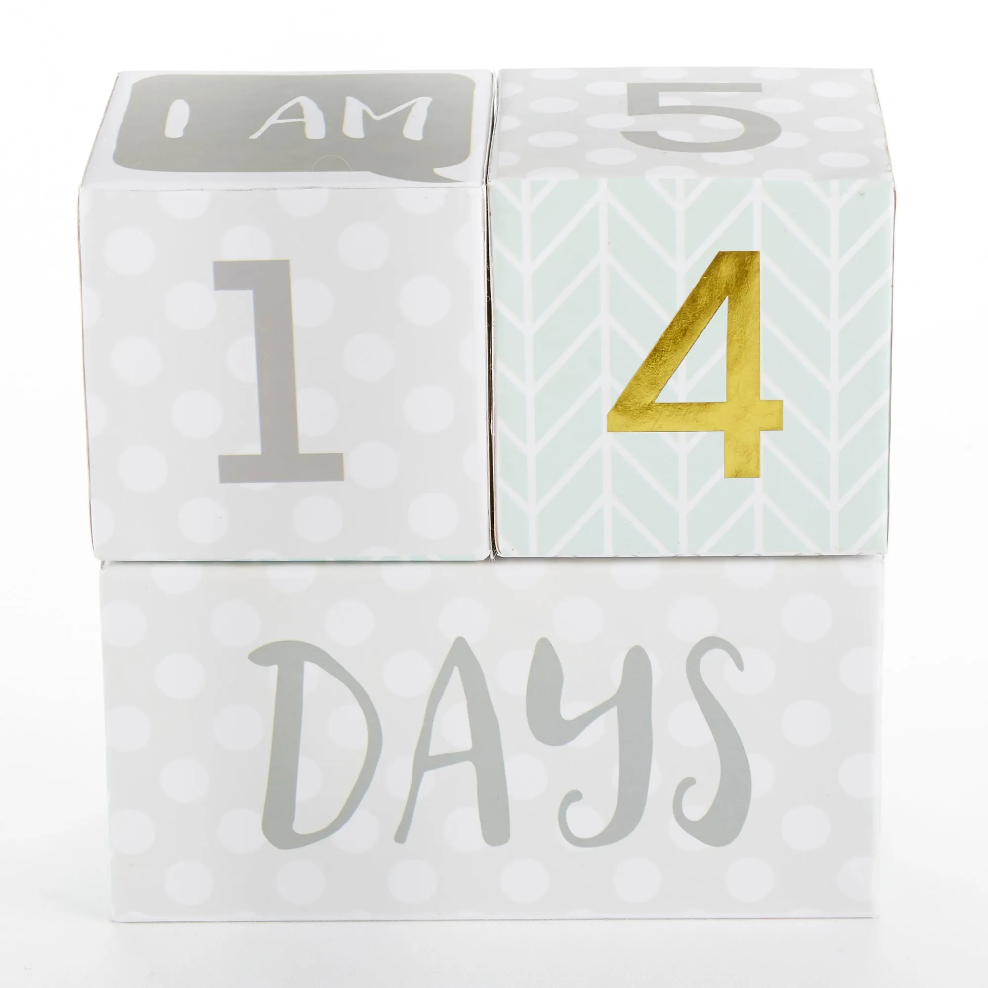 My First Milestone Baby Age Blocks