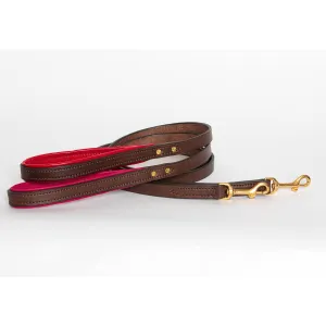 Padded Leather Leash
