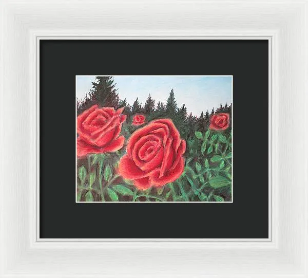Pure Roses ~ Framed Print