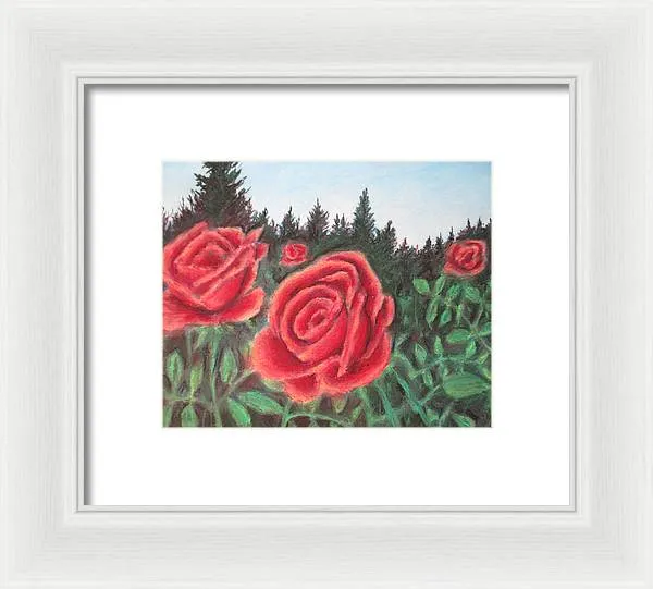 Pure Roses ~ Framed Print