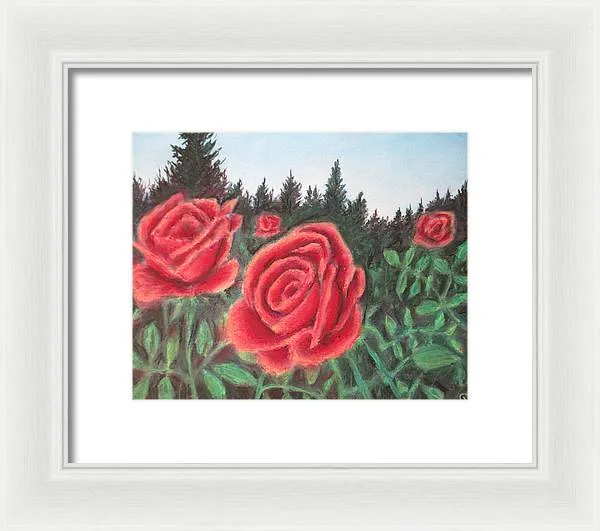 Pure Roses ~ Framed Print