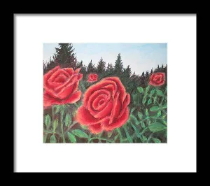 Pure Roses ~ Framed Print