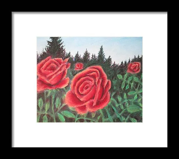 Pure Roses ~ Framed Print