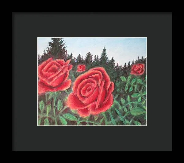 Pure Roses ~ Framed Print