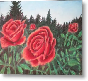 Pure Roses ~ Metal Print