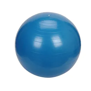 Relaxus Anti-Burst Exercise Ball