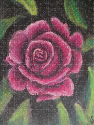 Rosy Pink ~ Puzzle