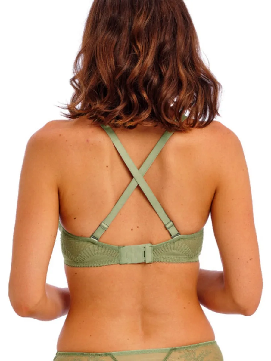 Sensu Lace Plunge Bra - Silk Green