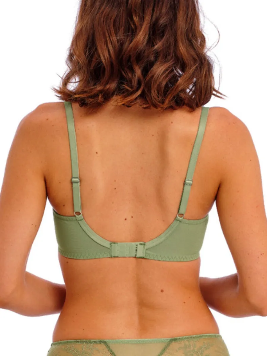 Sensu Lace Underwire Bra - Silk Green