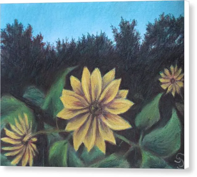 Sunflower Commitment - Canvas Print