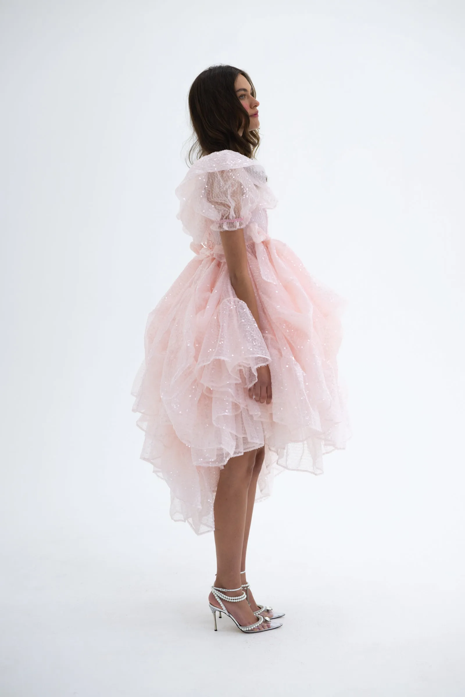 The Sparkling Showgirl Gown